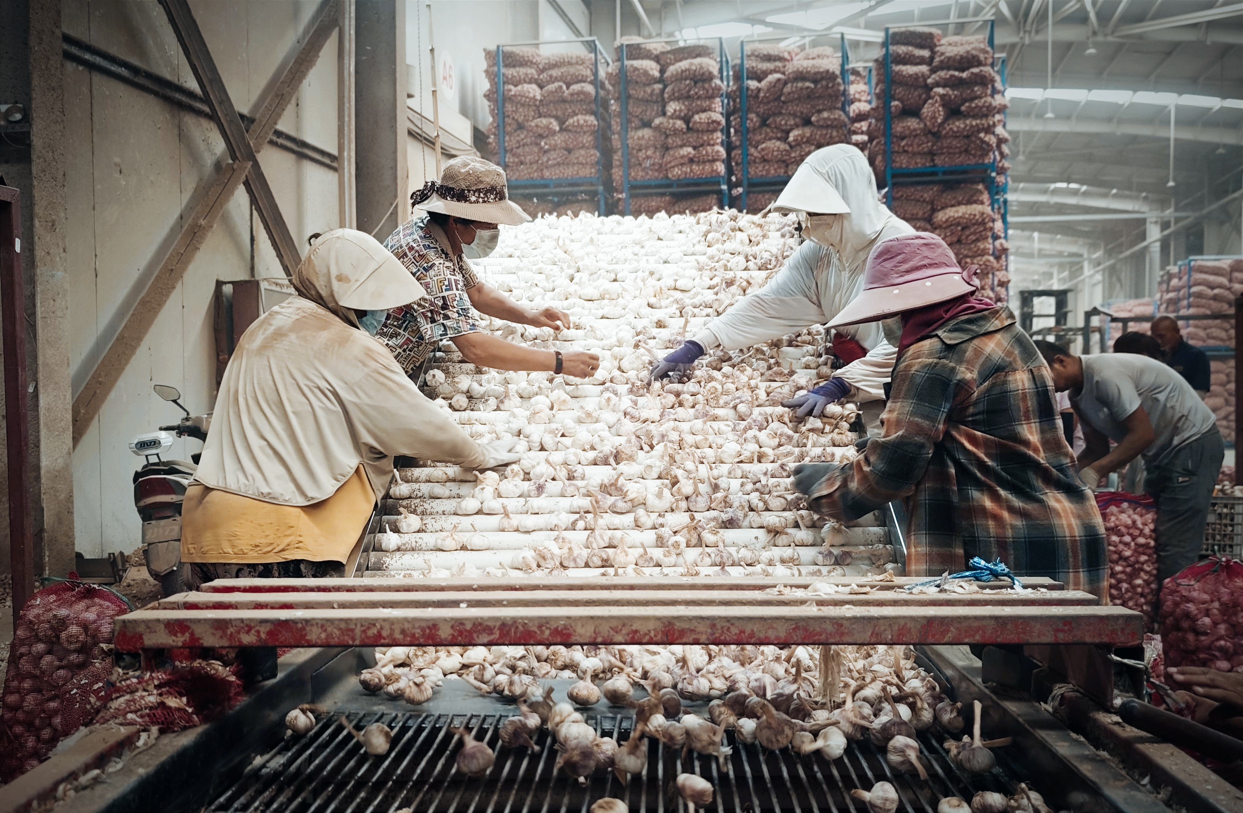 参观2.jpg 参观2.jpg